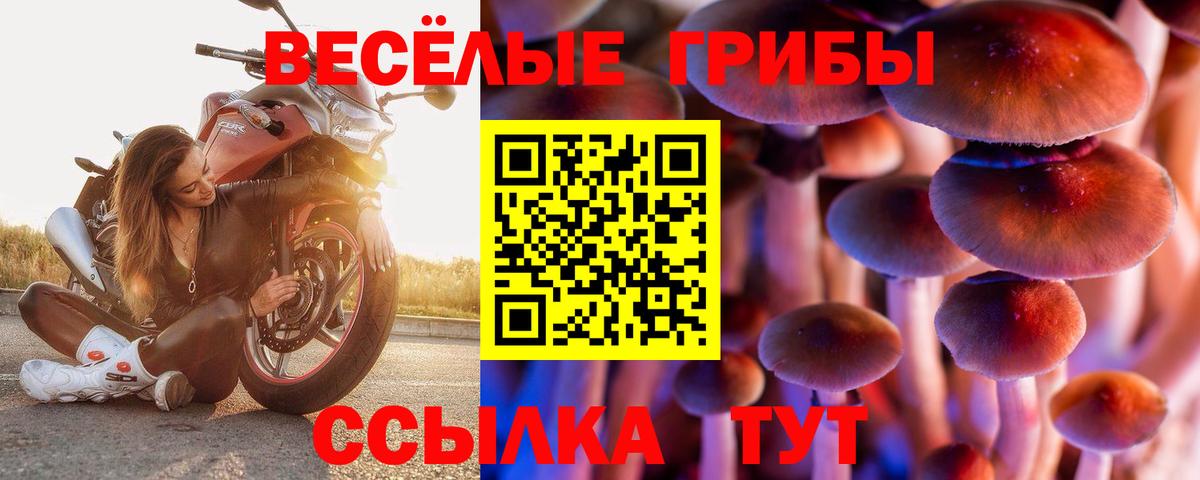 Галлюциногенные грибы Magic Shrooms  Вход с VPN  Уфа 
